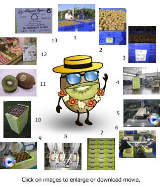 tracciabilit&agrave;